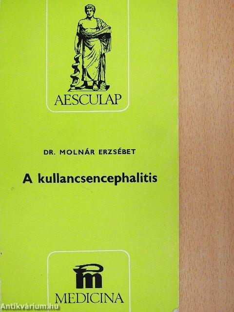 A kullancsencephalitis