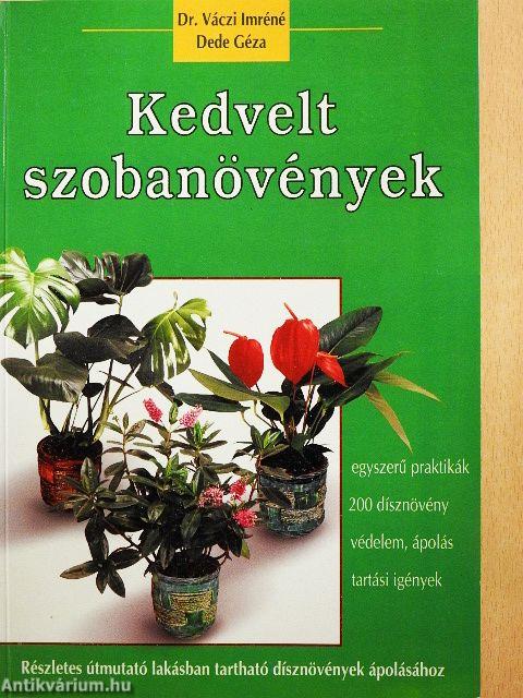 Kedvelt szobanövények