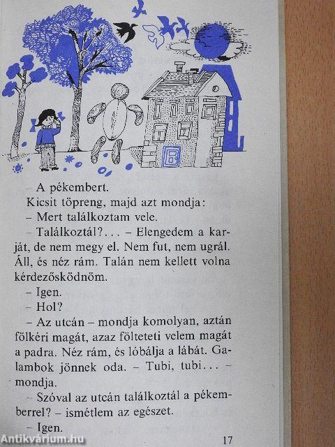 Ancsa-Pancsa varázslatai