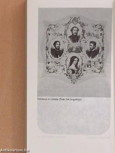 Széchenyi Döblingben