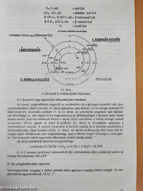 Biokémia