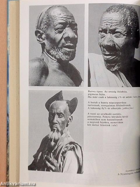 Húsz év Afrika szívében