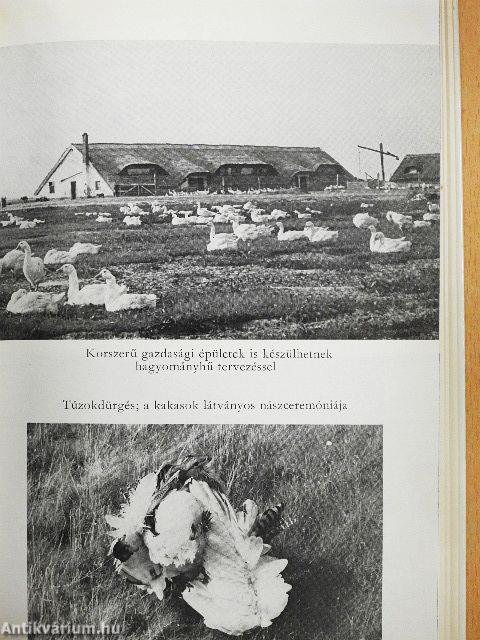 Élő múzeumok