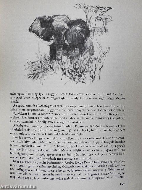 Kittenberger Kálmán élete 