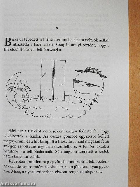 Sári, Samu és a titkok