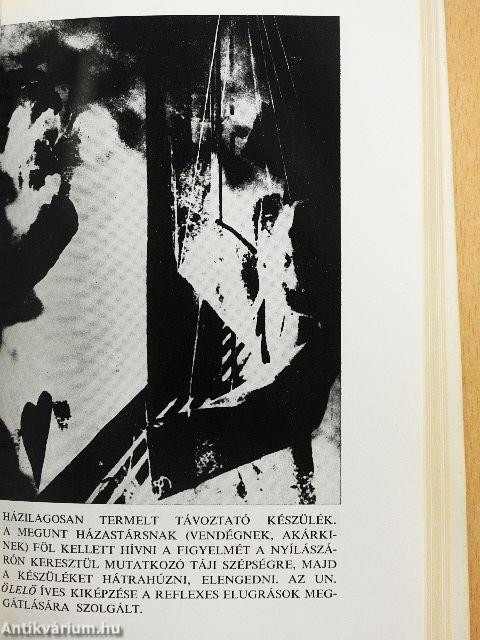 Eufémia