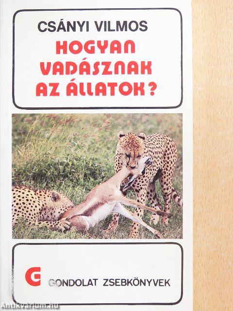 Hogyan vadásznak az állatok?