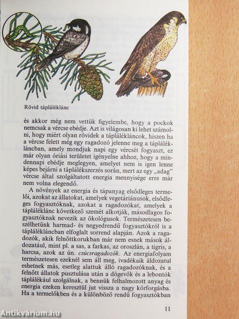 Hogyan vadásznak az állatok?