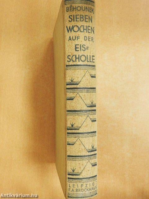 Sieben Wochen auf der Eisscholle (gótbetűs)