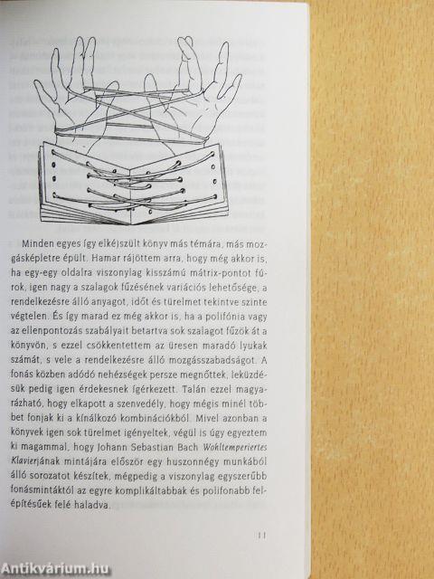 Fraktálok és eseményminták