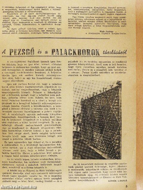 Vendéglátás 1957. december