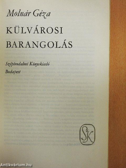 Külvárosi barangolás