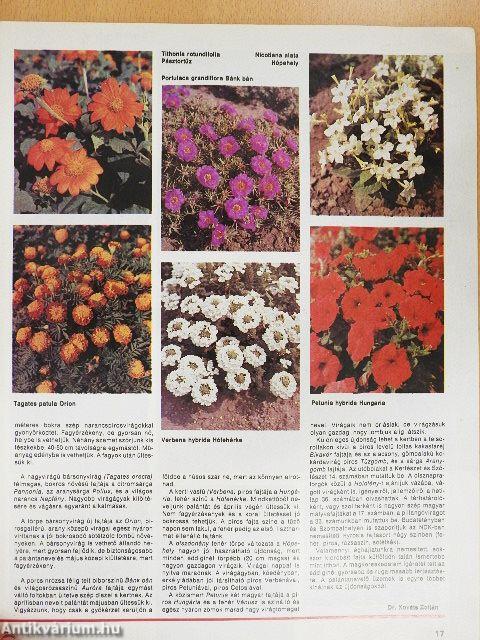 Kertbarát Magazin 1987/1-3.