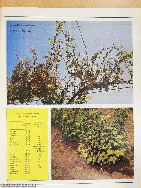 Kertbarát Magazin 1987/1-3.