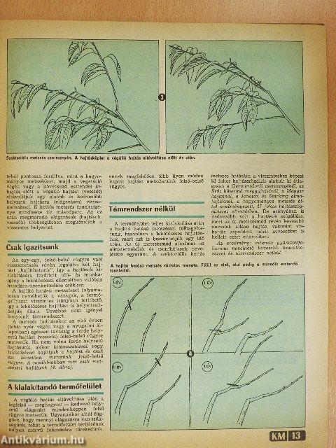 Kertbarát Magazin 1987/1-3.