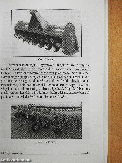 Növénytermesztés