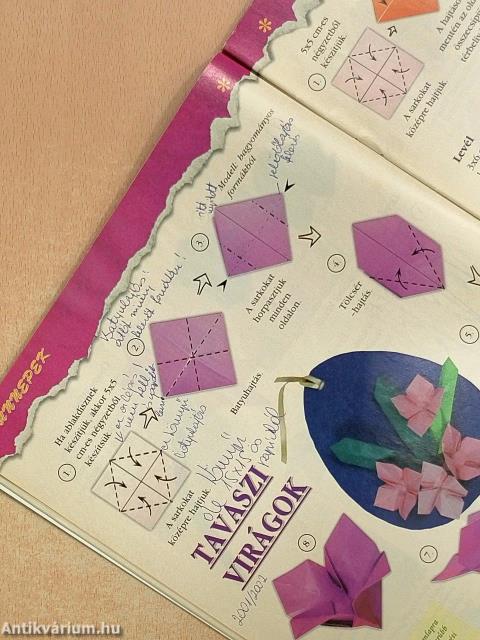 Origami 2002. március