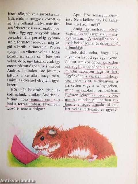 Kedvencem, az aranyhörcsög