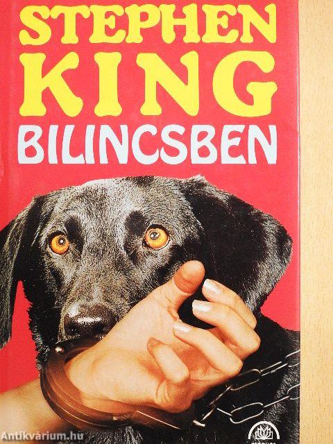 Bilincsben