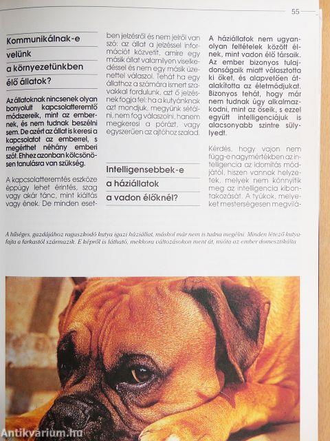 Mindent tudni akarok