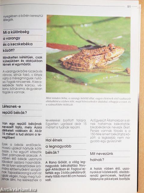 Mindent tudni akarok