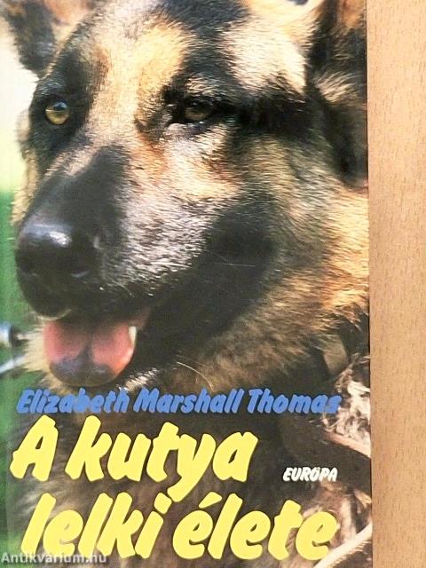 A kutya lelki élete