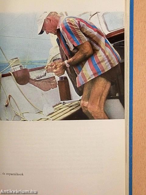 Gipsy Moth