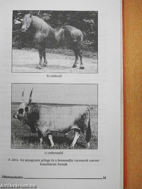 Állattenyésztés