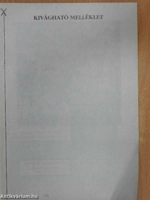 Origami 2001. november
