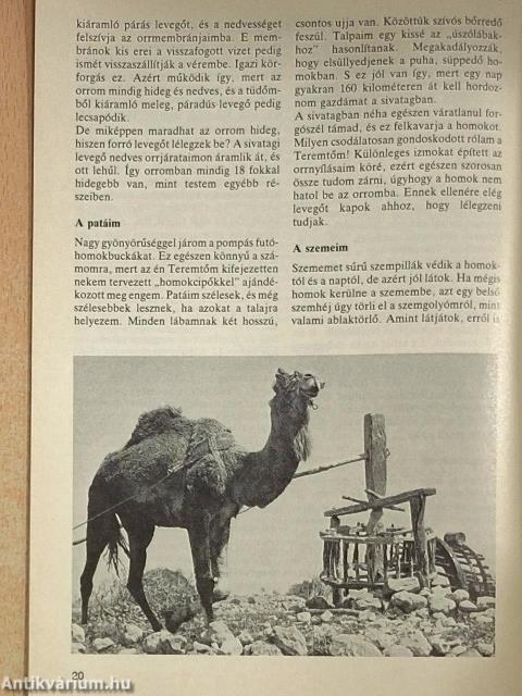 Vetés és aratás 18. évfolyam 1. szám
