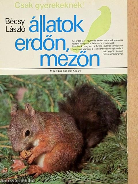 Állatok erdőn, mezőn