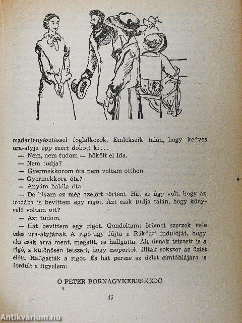 Ida regénye