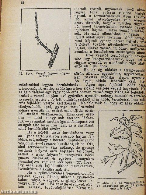 Körte termesztése