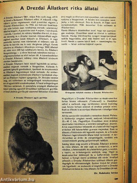 Búvár 1969. január-december