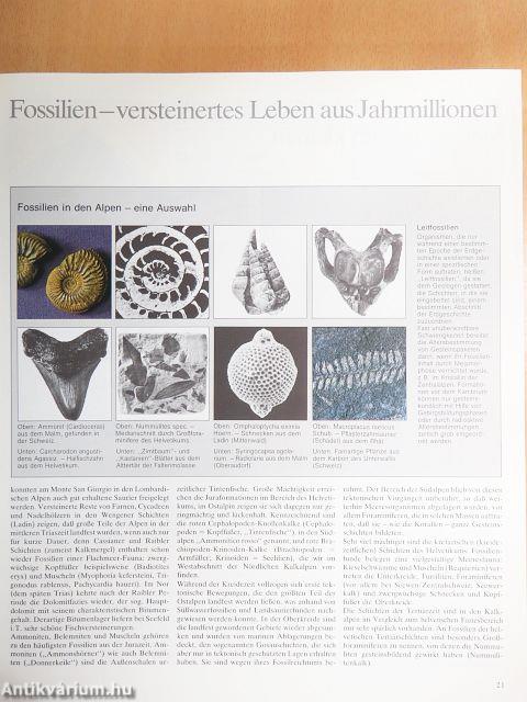 Das große ADAC Alpenbuch