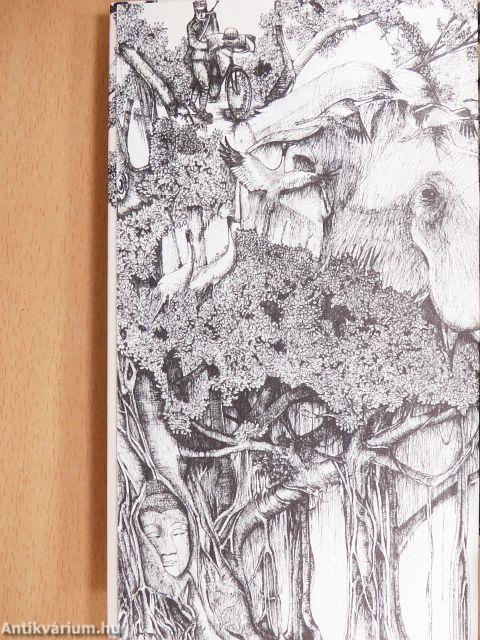 Az ellopott bicikli