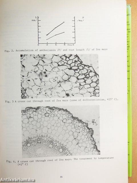 Root Ecology and its Practical Application