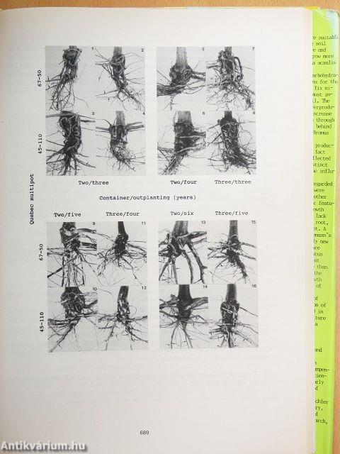 Root Ecology and its Practical Application