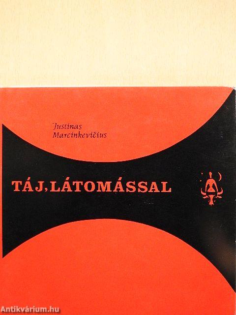Táj, látomással