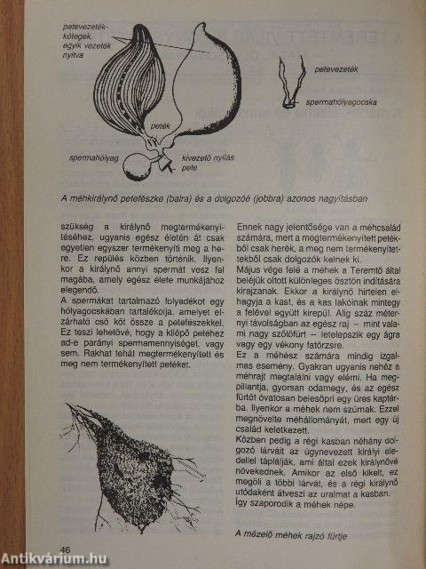 Vetés és aratás 20. évfolyam 2. szám