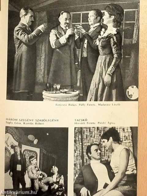 Gogol: Háztűznéző