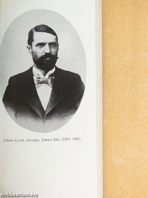 Juhász Gyula