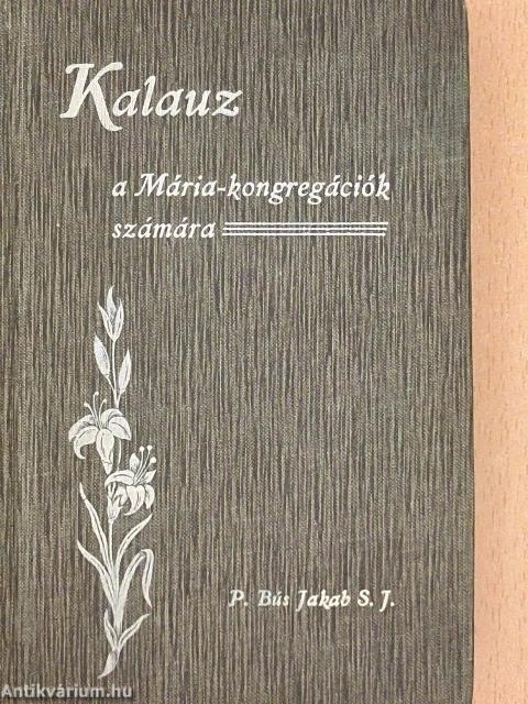 Kalauz 