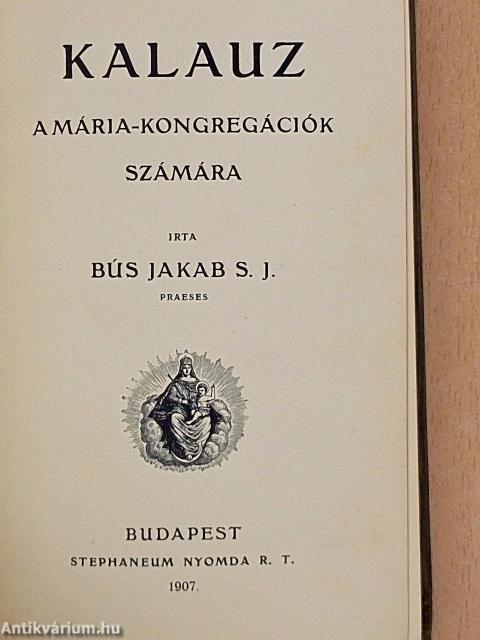Kalauz 