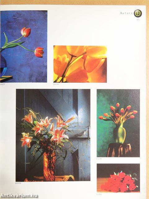 Bavaria Bildagentur 36