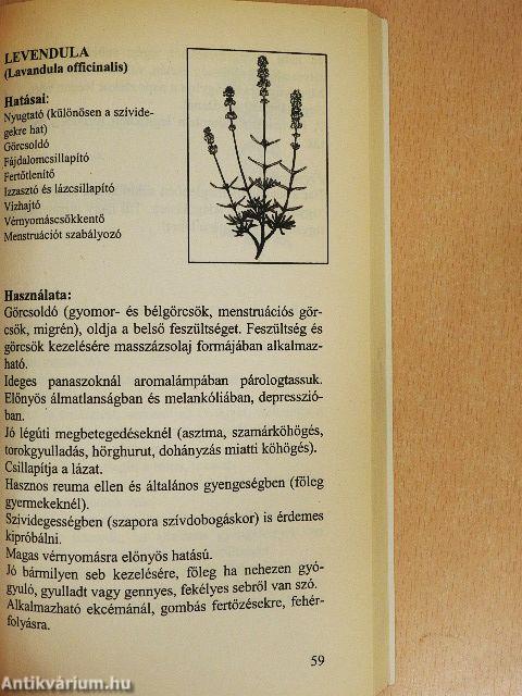 Gyógyítás Illóolajokkal