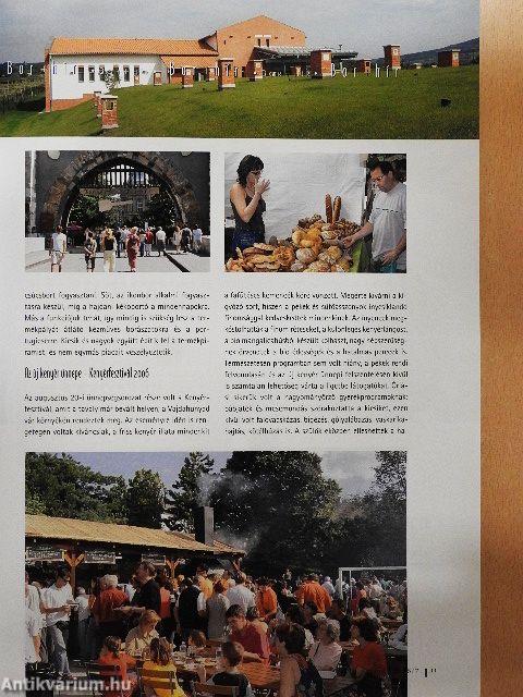 Gusto 2006/7.