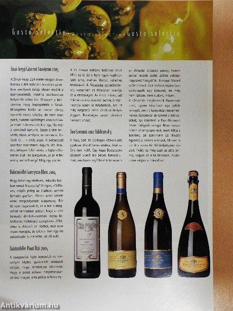 Gusto 2006/7.