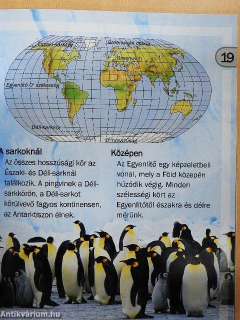 Térképek
