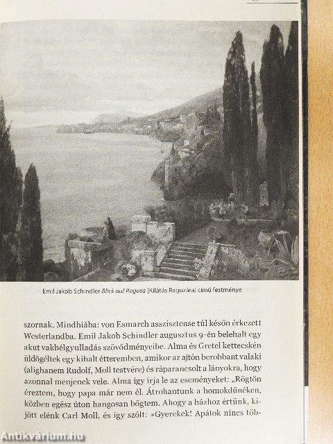 A fekete özvegy